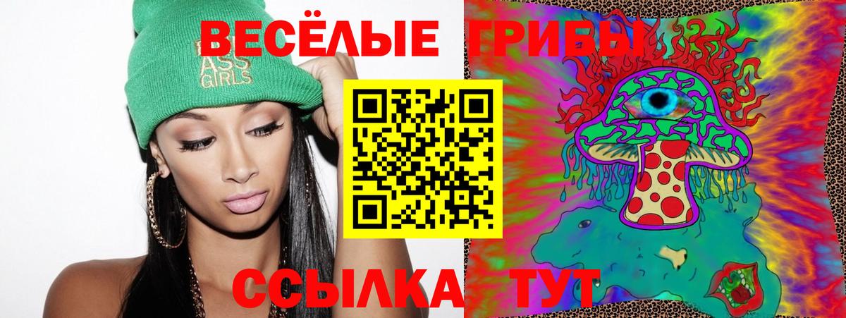 где продают   Вход с VPN  Ржев  Галлюциногенные грибы Psilocybe  Псилоцибиновые грибы Magic Shrooms 